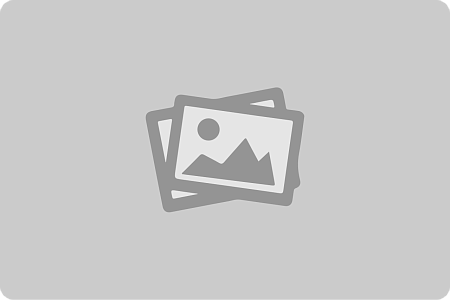 Душевая система со смесителем и троп душ. из нержав стали SuS. Ф35 излив A20FA